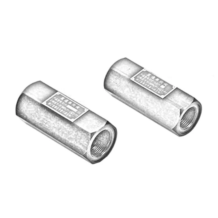 In Line Check Valve