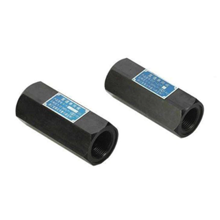 In Line Check Valve